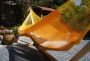 mexican hammock