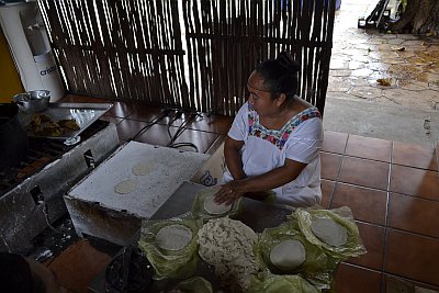 Tortillas fraîches